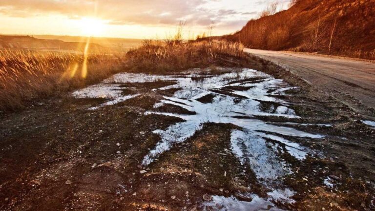 Is Site Https 11Xplay Pro The Authentic Version?