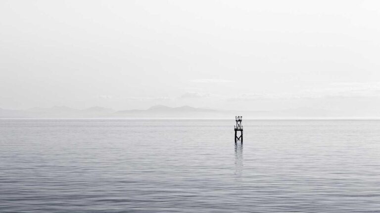 Does The 99Exch Mobile Version Have All Features Of Desktop?